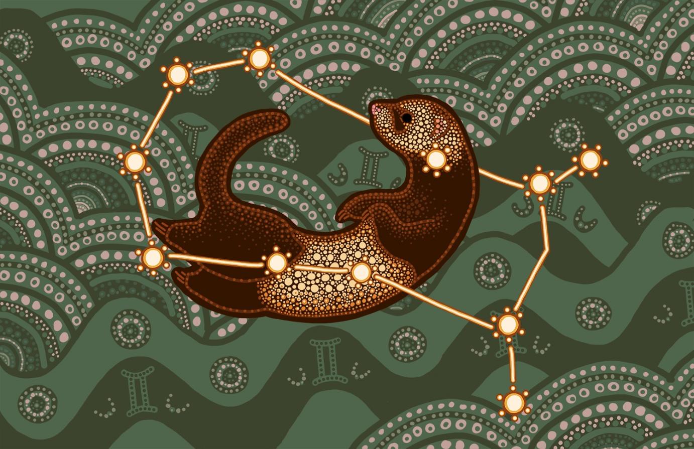 "Star Ferret" by Athena Driesen