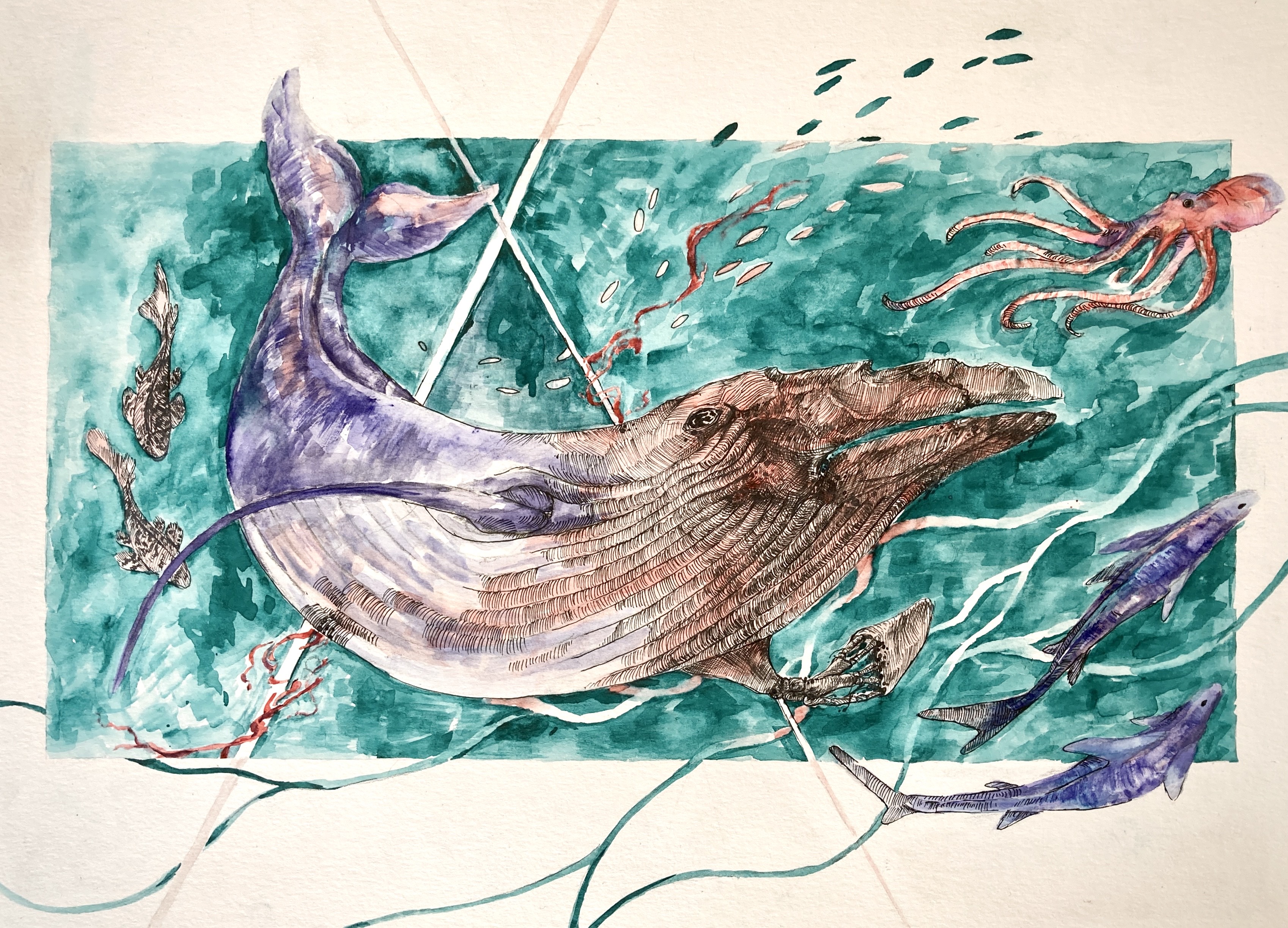 "Whale Fall" by Emma Wing